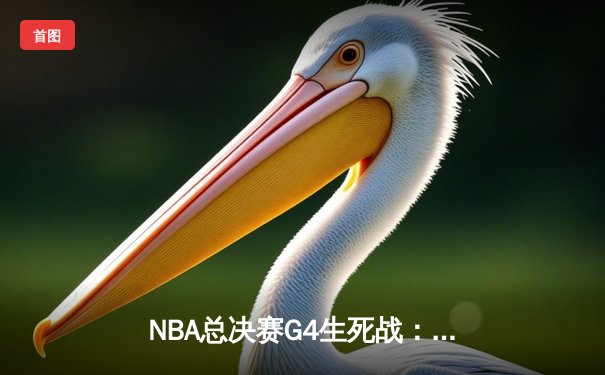 NBA总决赛G4生死战：掘金末节逆转险胜热火，约基奇三双率队夺赛点